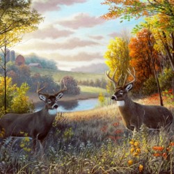Oct Bliss CANVAS